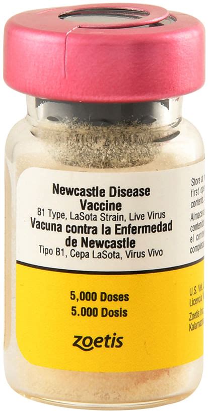 newcastle disease vaccine